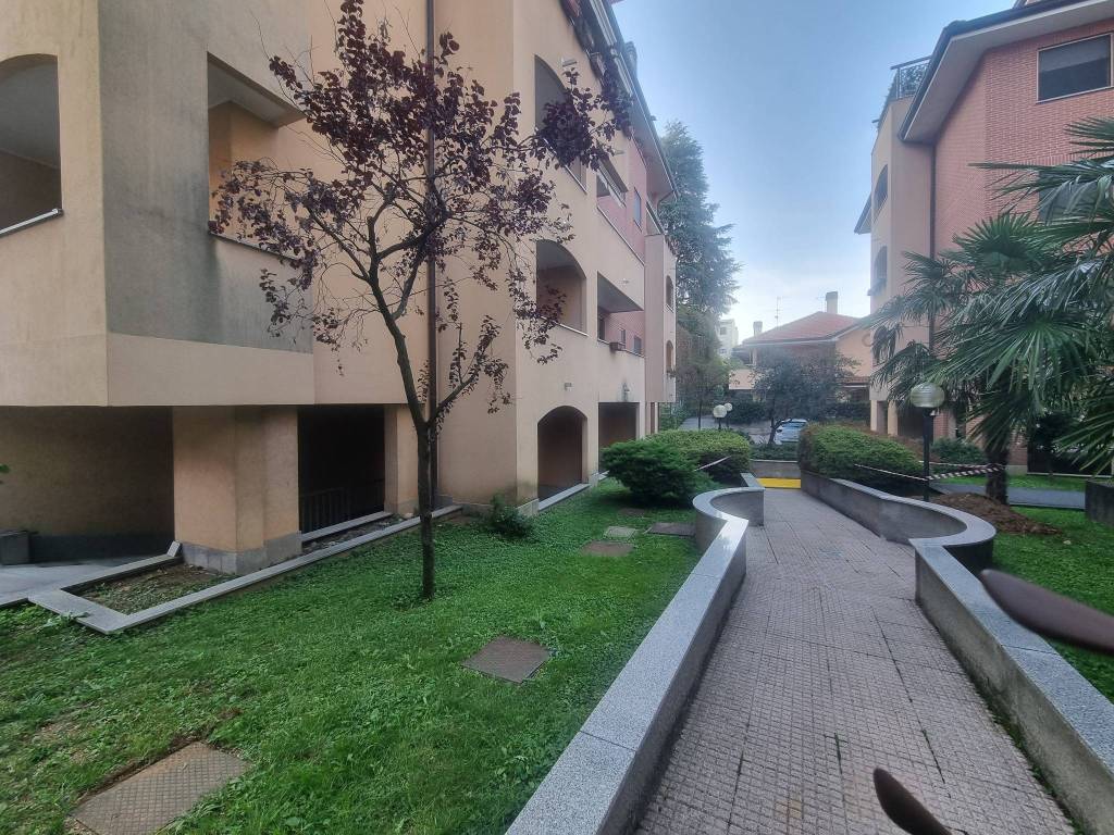 immagine annuncio 2 di 5