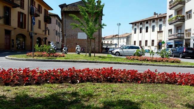 immagine annuncio 1 di 2