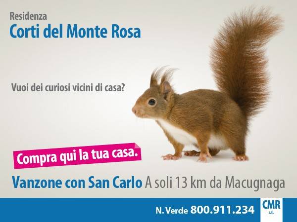 immagine annuncio 4 di 5