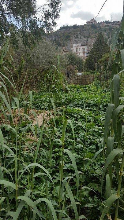 Vendita terreno edificabile residenziale boccadifalco baida ... Mutuo per terreno edificabile