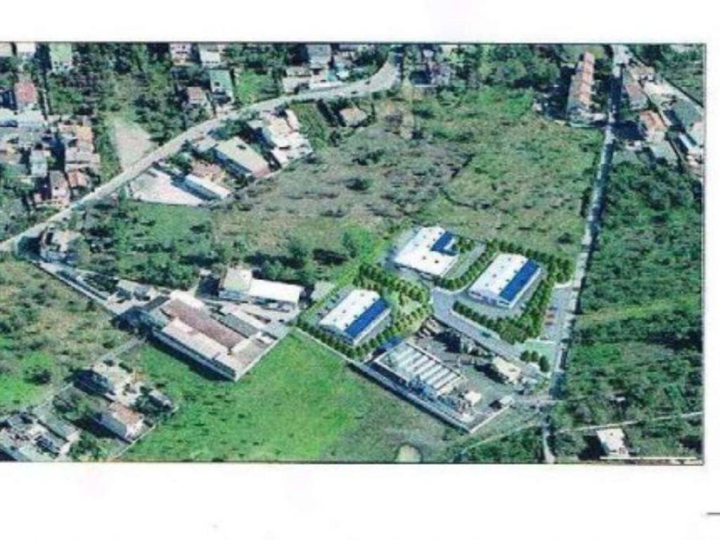 immagine annuncio 2 di 4