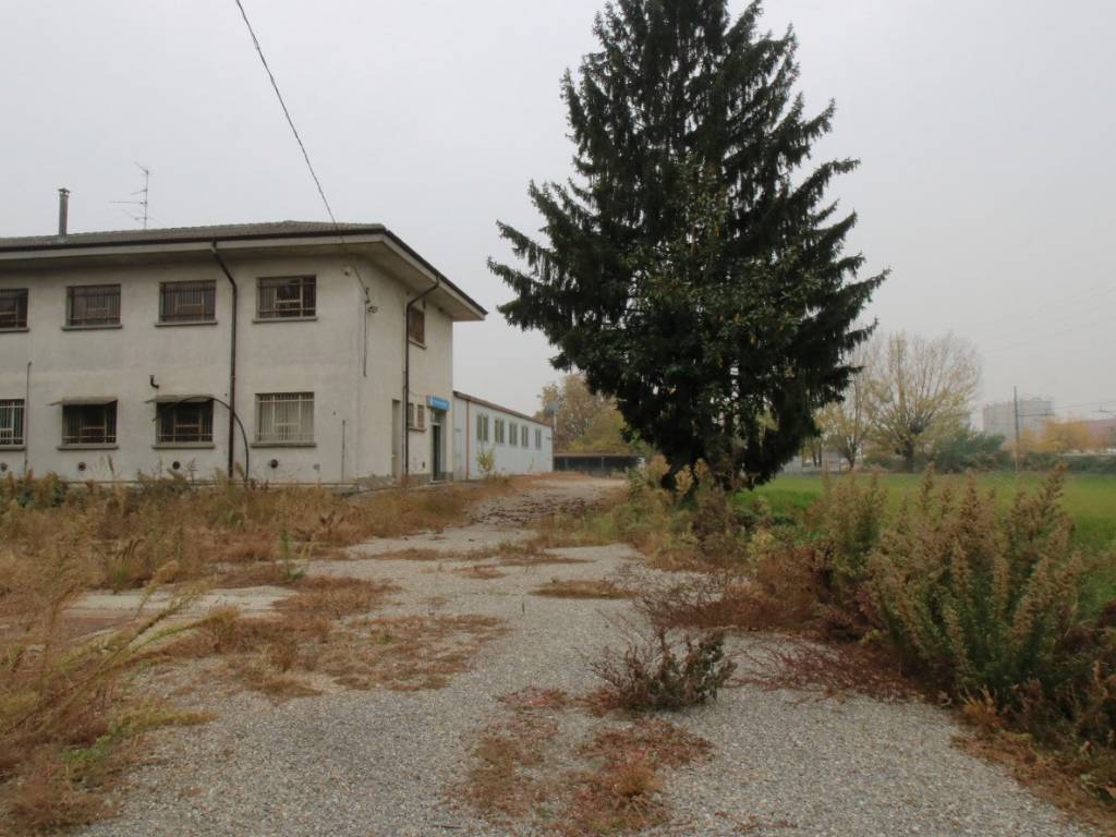 immagine annuncio 2 di 5