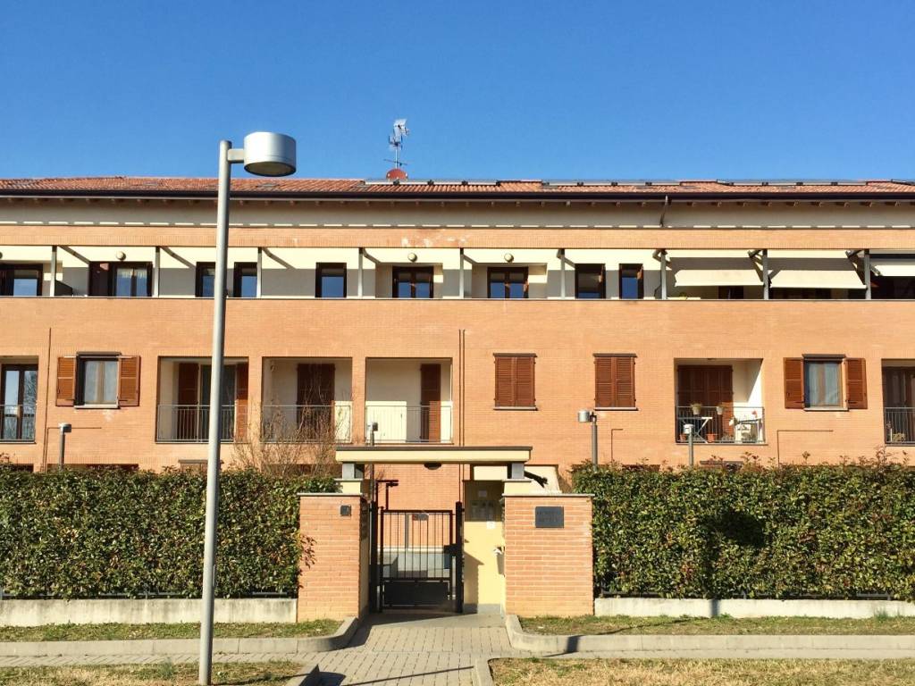 immagine annuncio 2 di 5