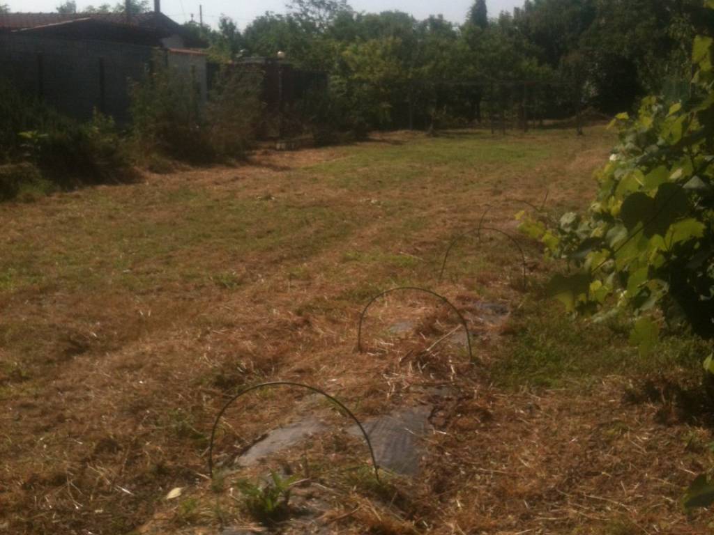 immagine annuncio 2 di 4