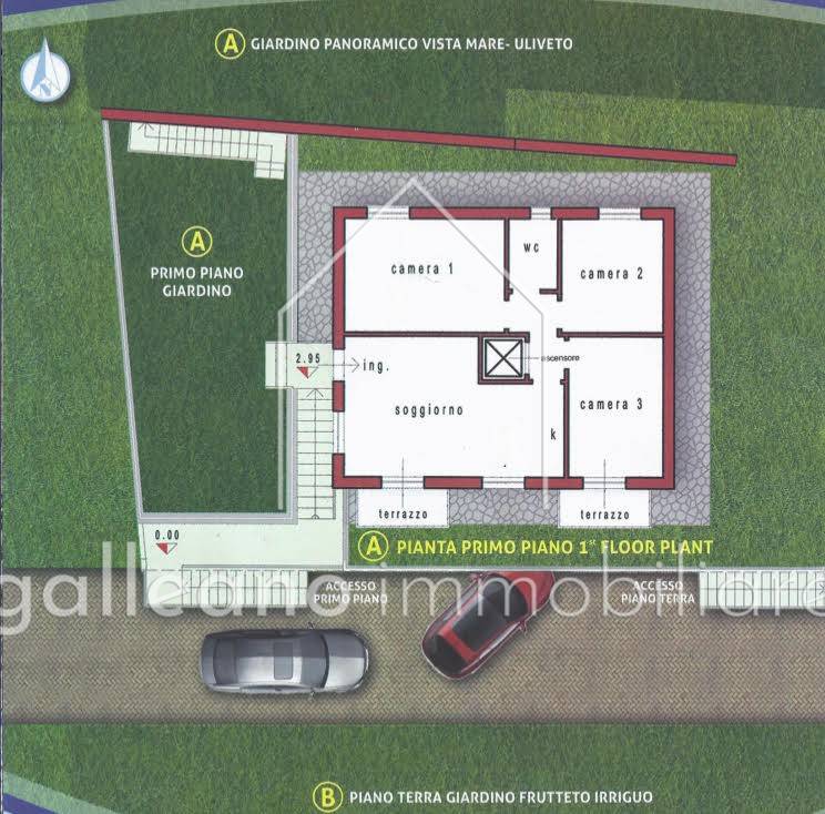 immagine annuncio 2 di 5