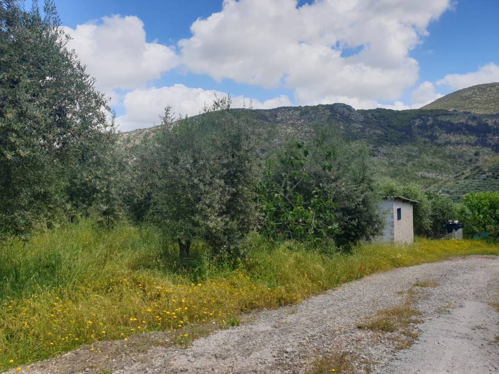 immagine annuncio 2 di 3