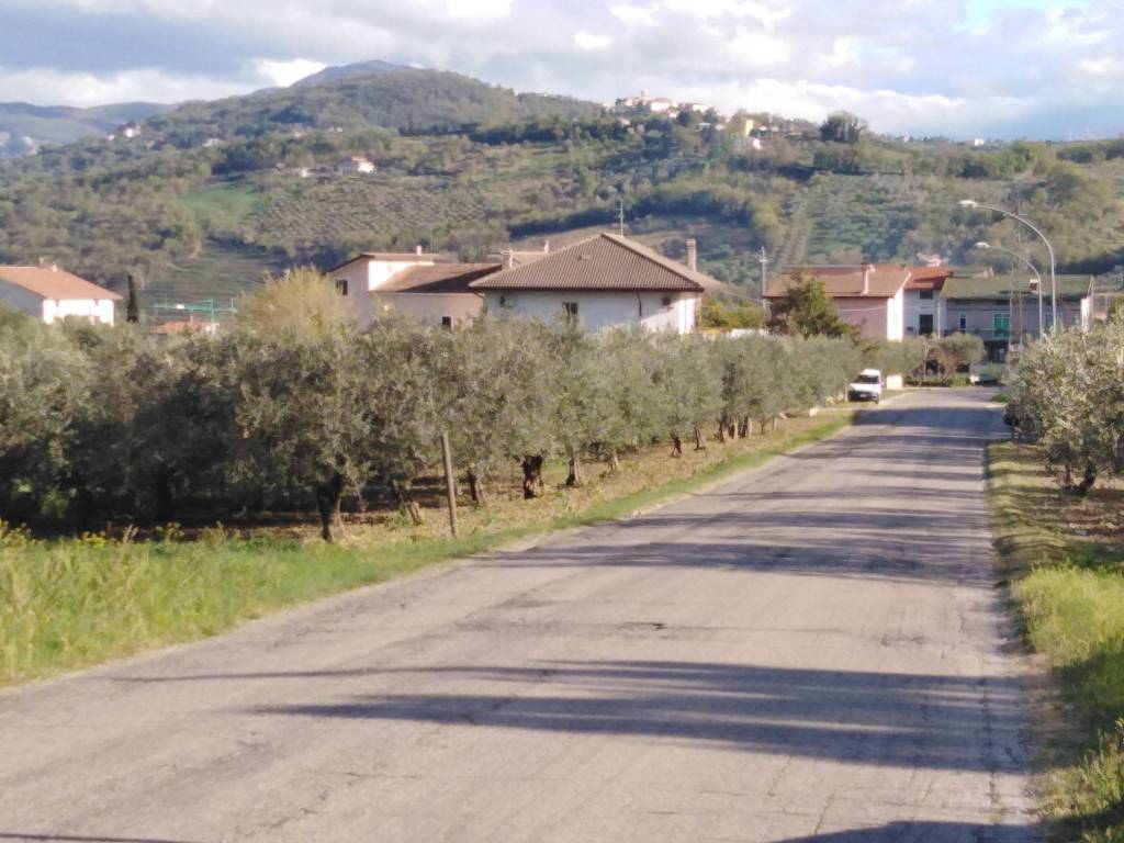 immagine annuncio 3 di 4