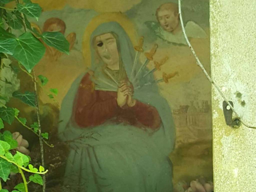 immagine annuncio 4 di 5