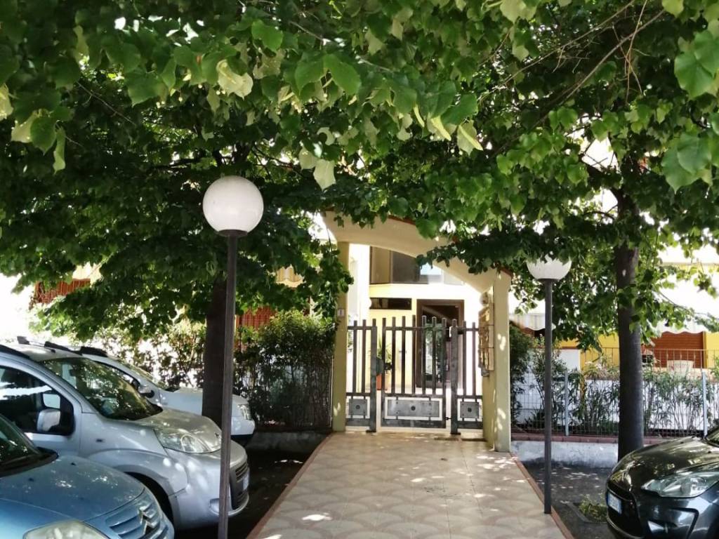 immagine annuncio 1 di 2