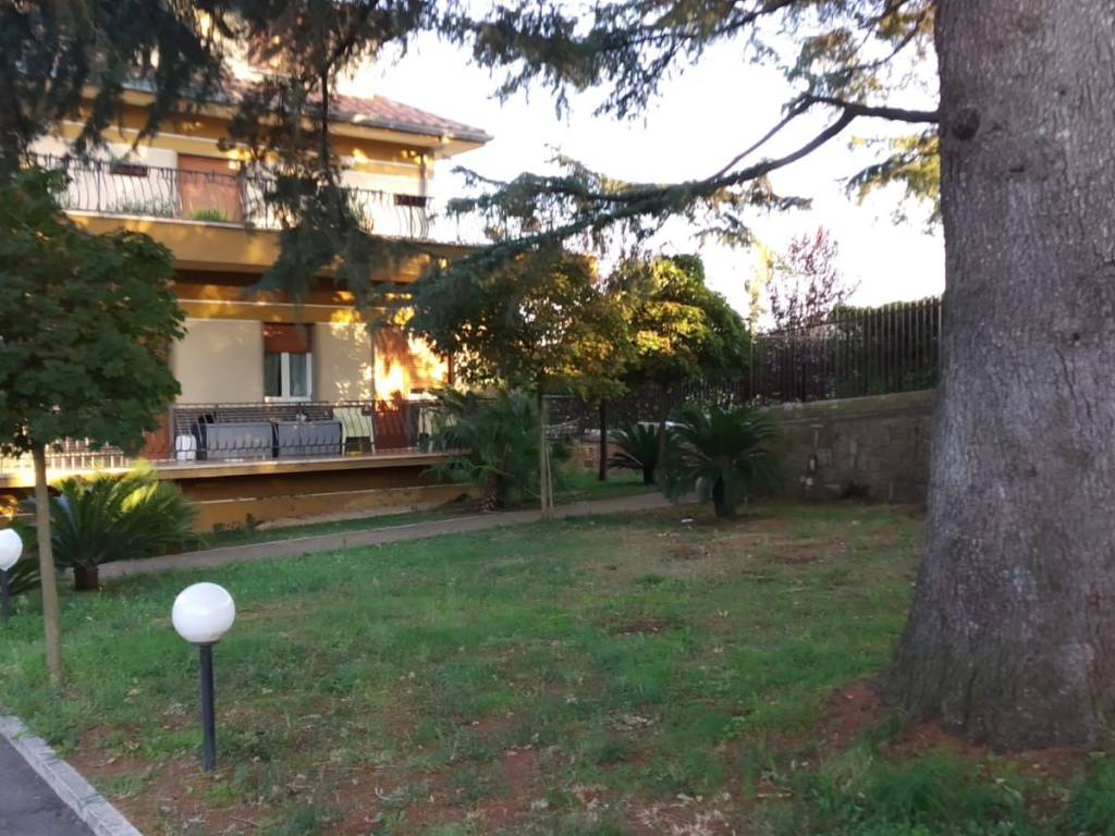 Affitto Appartamento Zagarolo. Quadrilocale in via Santa ...