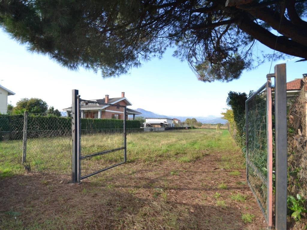 immagine annuncio 1 di 4