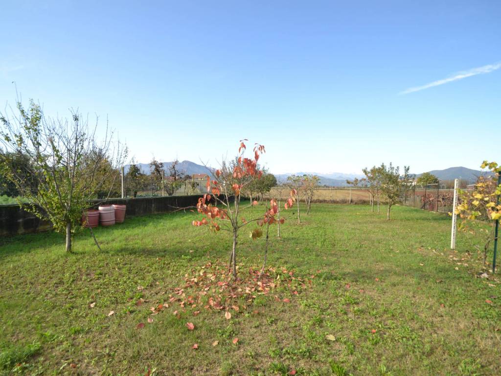 immagine annuncio 2 di 4