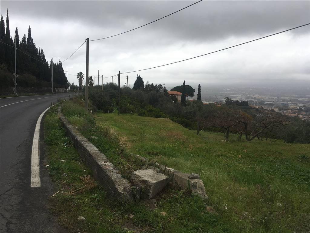 immagine annuncio 1 di 2