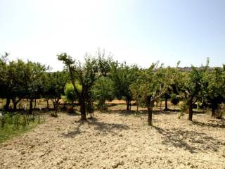 Terreno Edificabile Agricolo A Fermo Vendita E Affitto