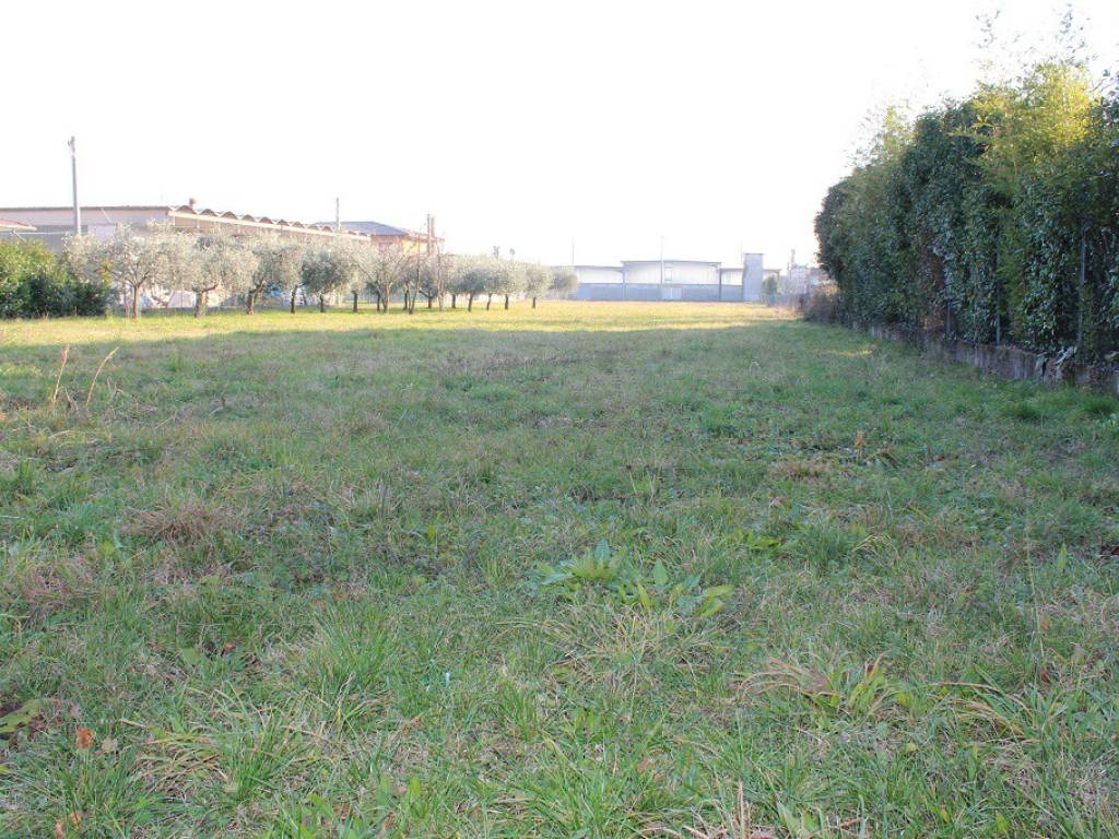 immagine annuncio 1 di 2