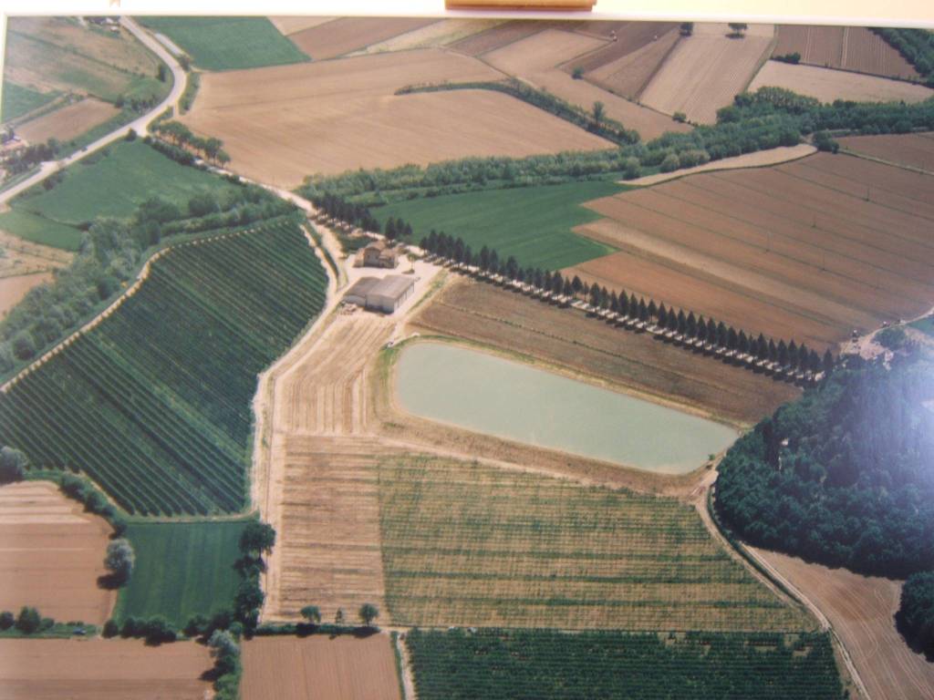 immagine annuncio 1 di 2