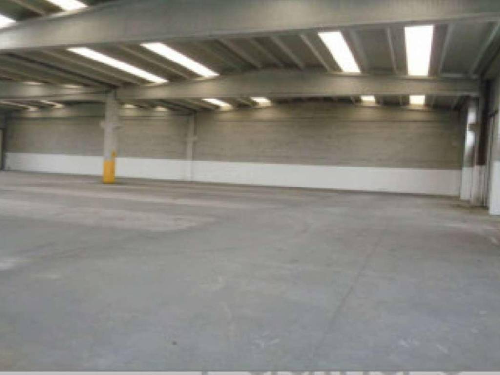 immagine annuncio 2 di 4