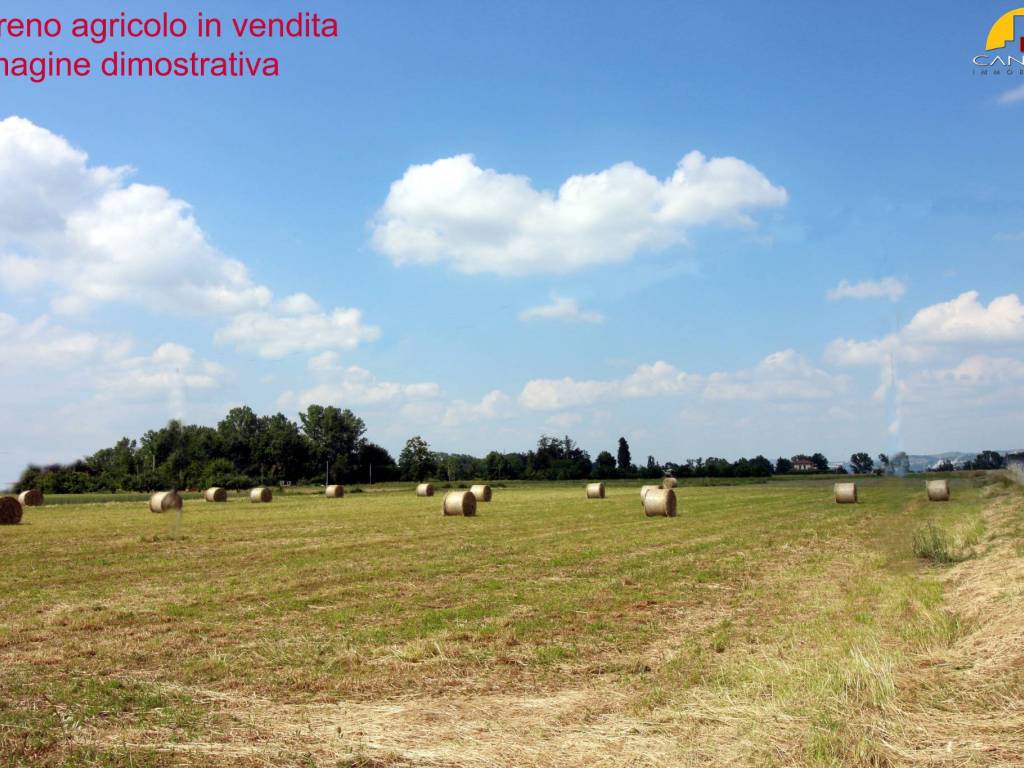 immagine annuncio 2 di 4