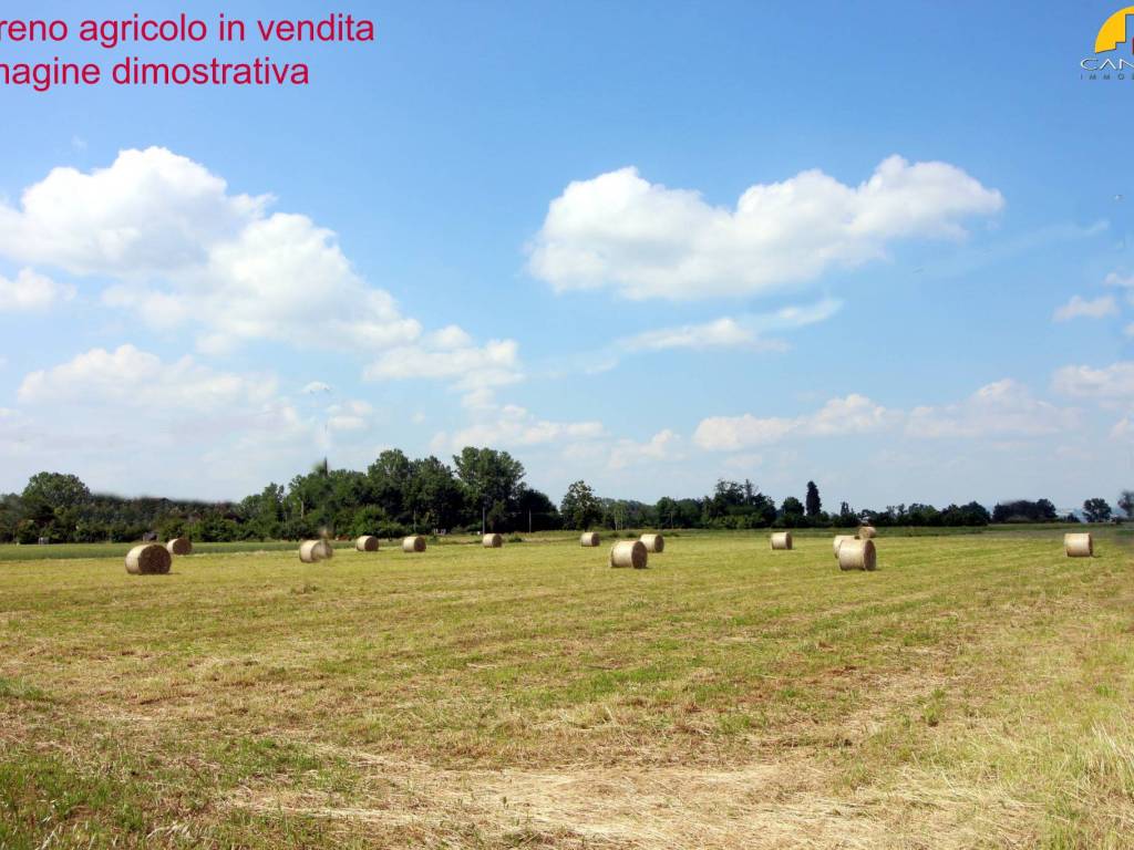 immagine annuncio 1 di 3