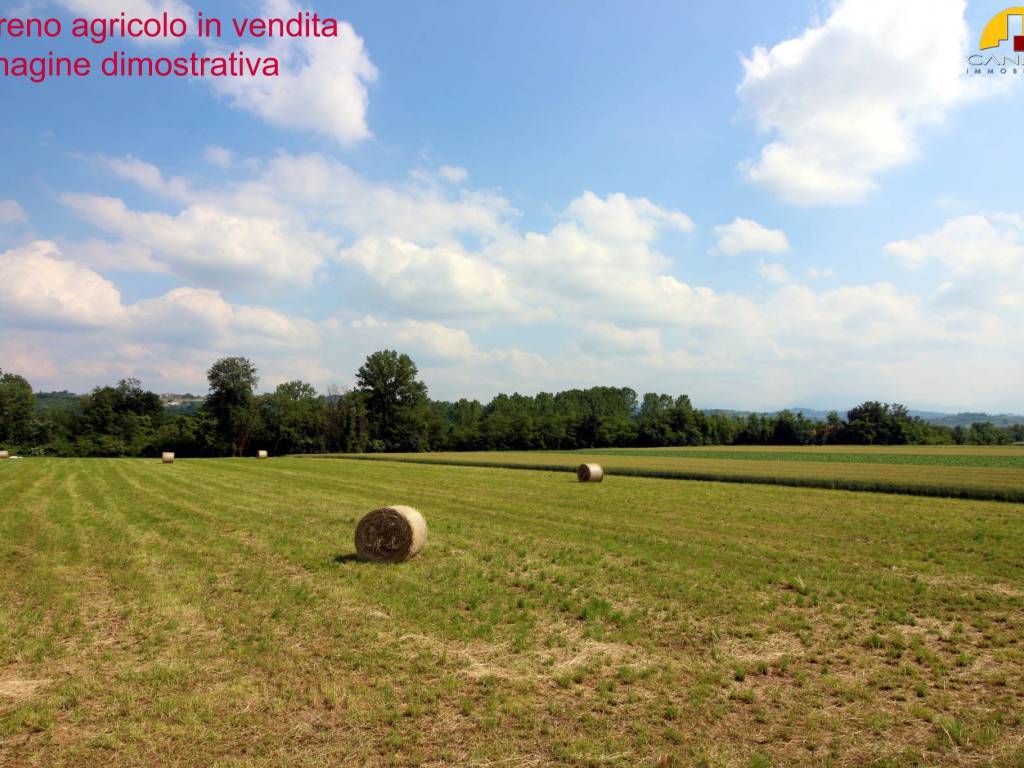 immagine annuncio 2 di 3