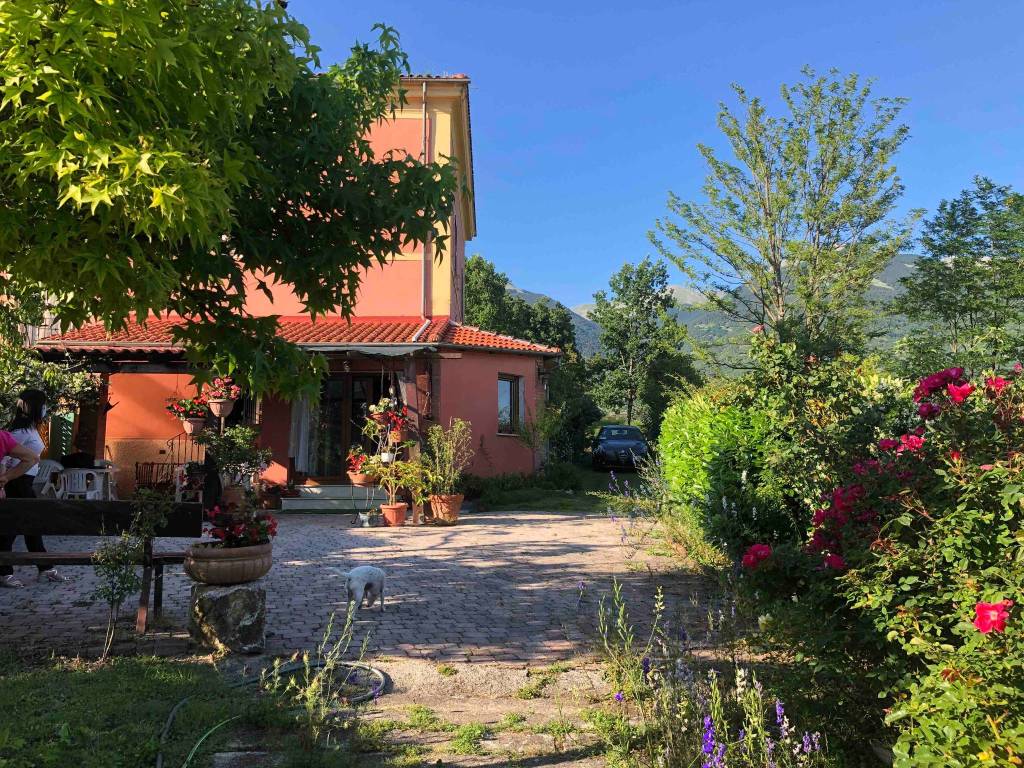 immagine annuncio 2 di 5