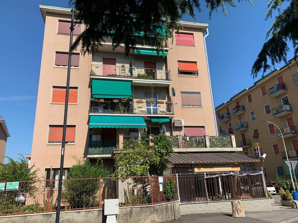 immagine annuncio 2 di 5