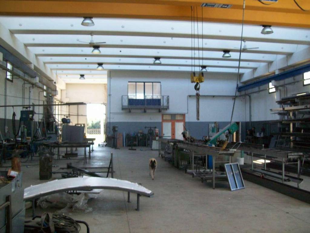 immagine annuncio 4 di 5