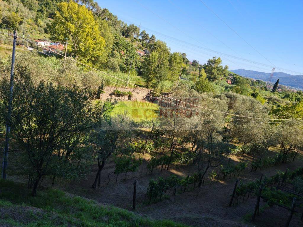 immagine annuncio 2 di 3