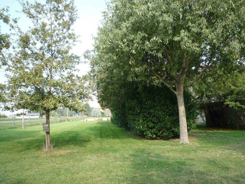 immagine annuncio 1 di 3
