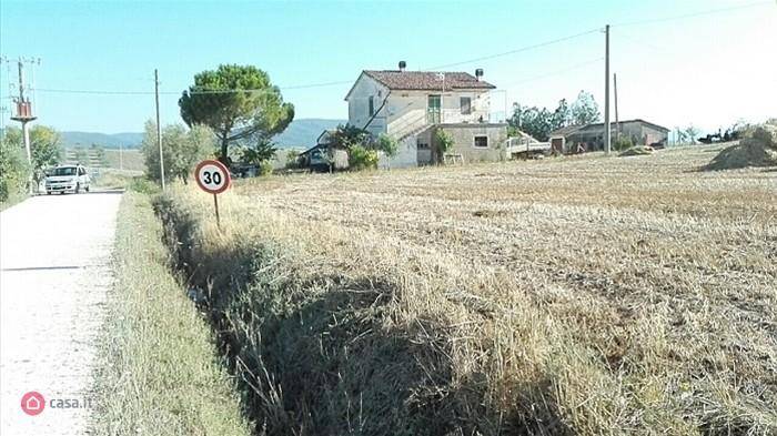 immagine annuncio 1 di 2