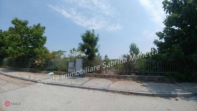 immagine annuncio 2 di 3