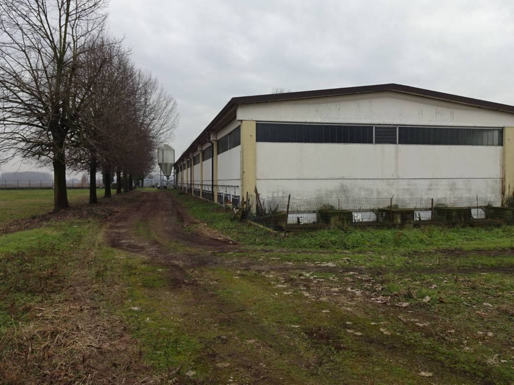 immagine annuncio 3 di 5