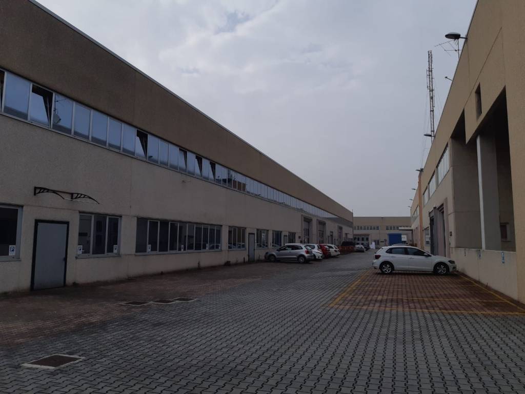 immagine annuncio 2 di 5