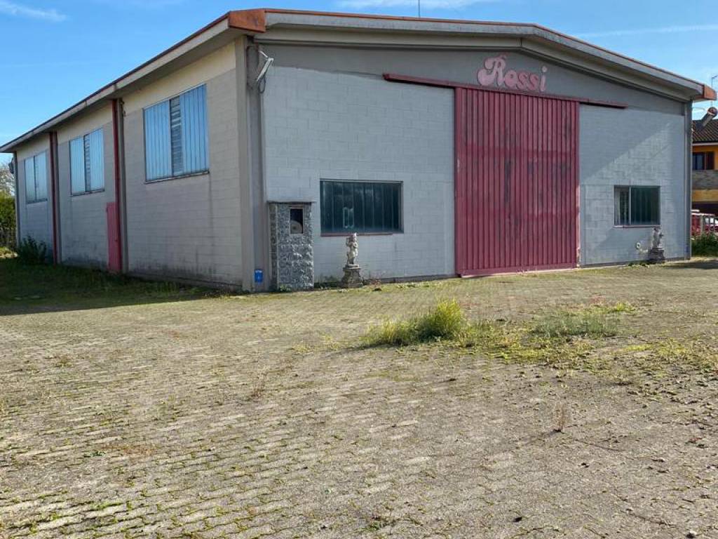 immagine annuncio 4 di 5