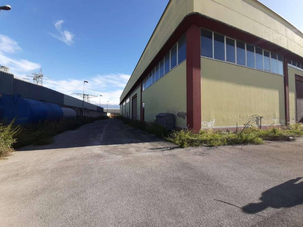 immagine annuncio 4 di 5