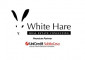 White Hare Real Estate Consulting S.R.L.
