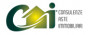 Cai Consulenze Aste Immobiliari