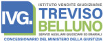 Istituto Vendite Giudiziarie Treviso e Belluno