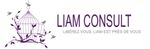 Liam Consult