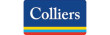 Logo COLLIERS