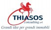 Thiasos Consulting srl