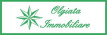 Olgiata Immobiliare
