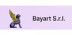 bayart s.r.l.