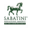 Sabatini Immobili