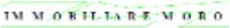 Immobiliare Moro