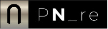 PN_real estate