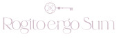 Rogito Ergo Sum SRL