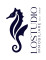 LoSTUDIO. Immobiliare dal 1989