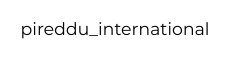 Pireddu International