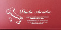 Studio Arcadia
